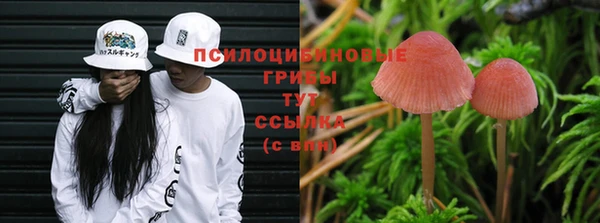 трава Беломорск