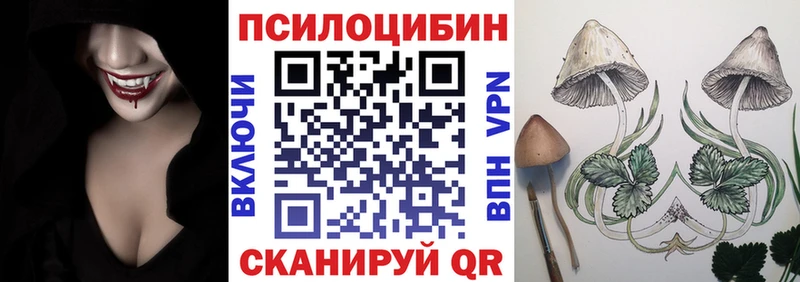 Псилоцибиновые грибы мухоморы  купить наркотики цена  Нижний Тагил 